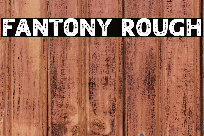 FANTONY ROUGH Example 2