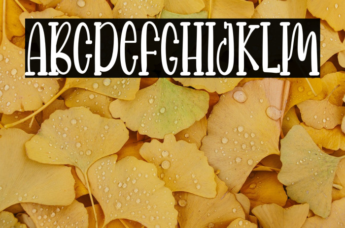 FARMHOUSE RECIPE Example 3