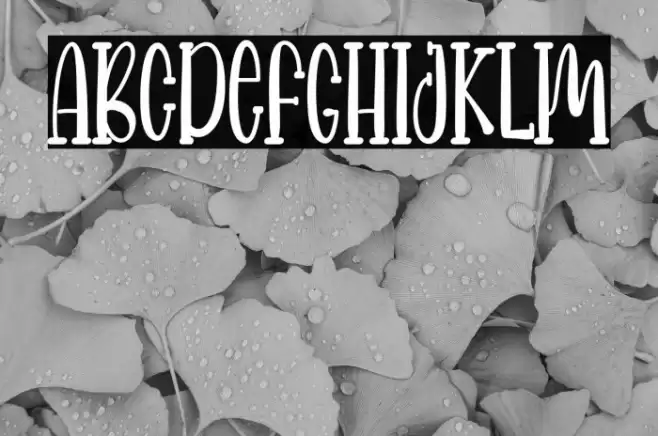 FARMHOUSE RECIPE Font examples