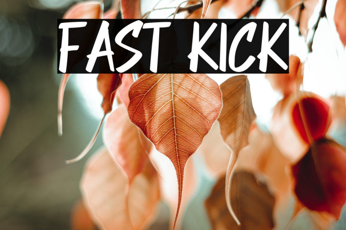 FAST KICK Example 2
