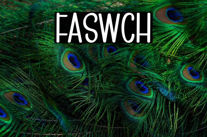 FASTWITCH Example 1