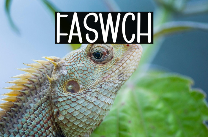 FASTWITCH Example 3