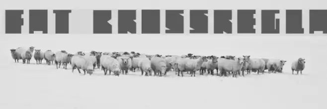 FAT BROSSRegular Font examples