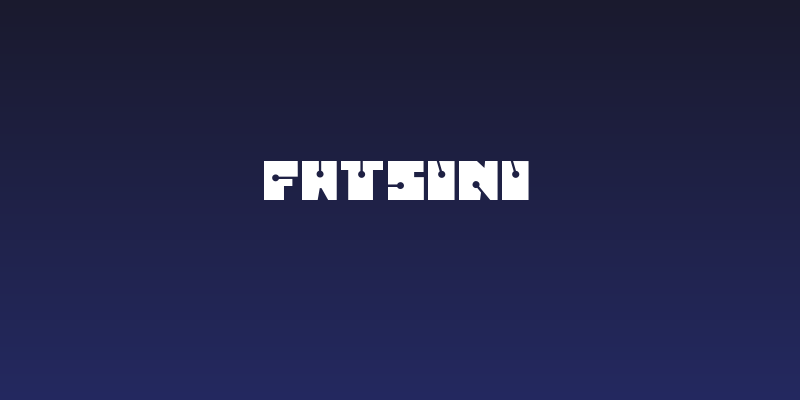 FATSINI Social Header