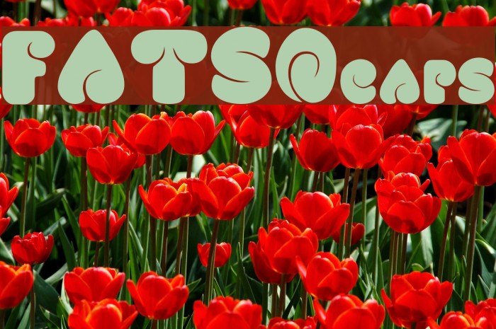 FATSOcaps Font examples