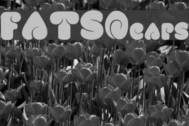 FATSOcaps フォント examples