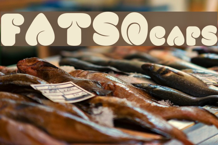 FATSOcaps Font examples