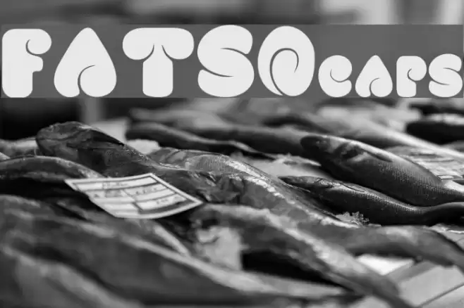 FATSOcaps フォント examples