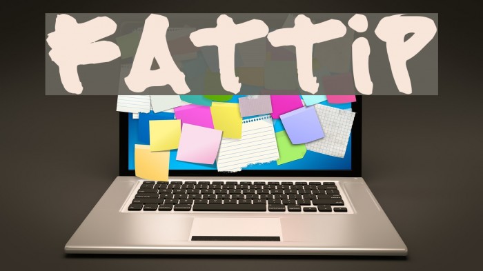 FATTIP Polices examples