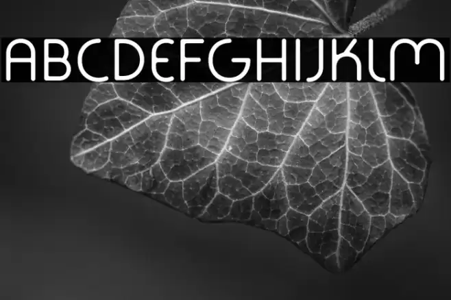 Fabada Font examples