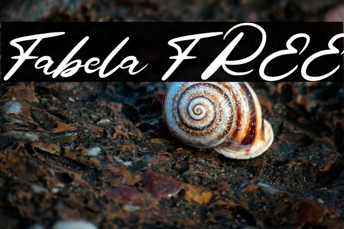 Fabela FREE Example 2