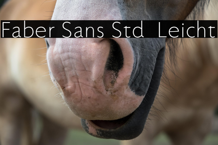 Faber Sans Std 45 Leicht Example 1