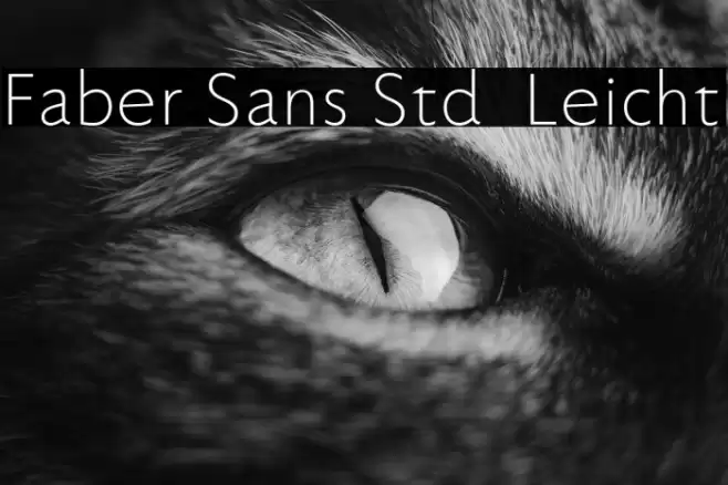 Faber Sans Std 45 Leicht フォント examples