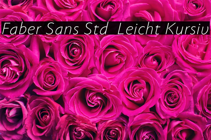 Faber Sans Std 46 Leicht Kursiv Example 1