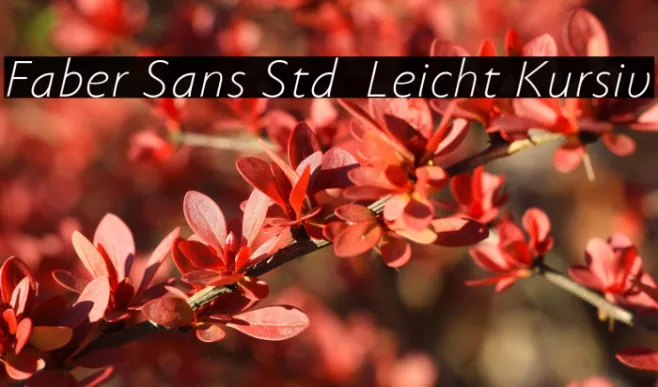 Faber Sans Std 46 Leicht Kursiv Example 2