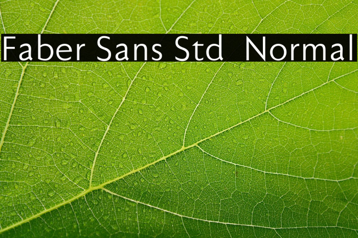 Faber Sans Std 55 Normal Example 1