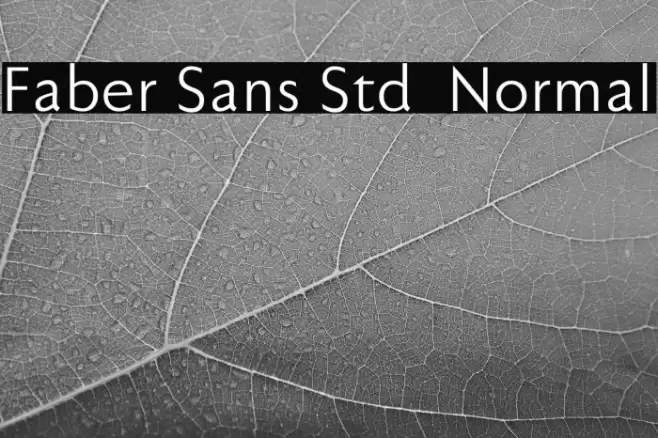 Faber Sans Std 55 Normal Шрифта examples