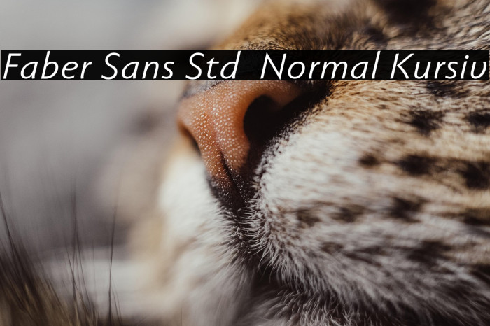 Faber Sans Std 56 Normal Kursiv Example 1