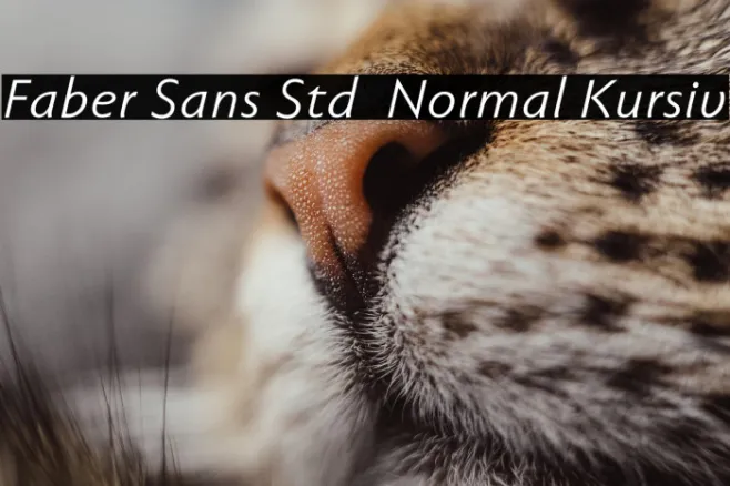 Faber Sans Std 56 Normal Kursiv Example 1