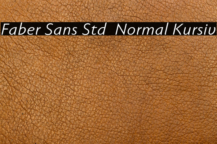 Faber Sans Std 56 Normal Kursiv Example 2