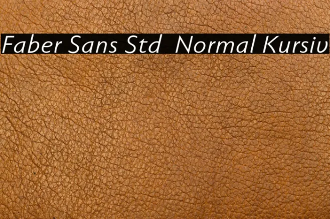 Faber Sans Std 56 Normal Kursiv Example 2