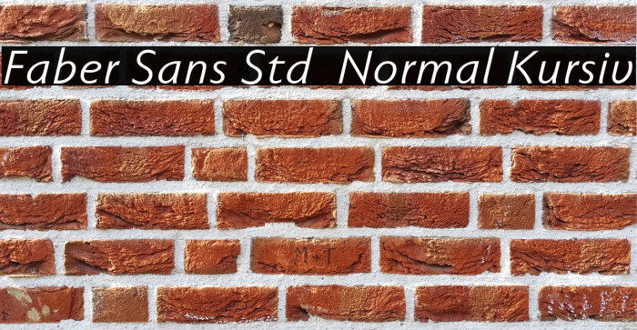 Faber Sans Std 56 Normal Kursiv Example 3