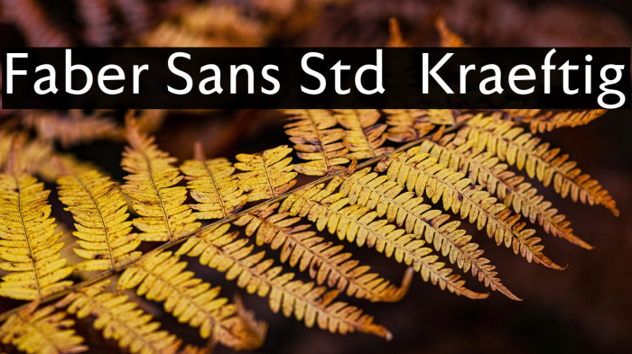 Faber Sans Std 65 Kraeftig Example 1