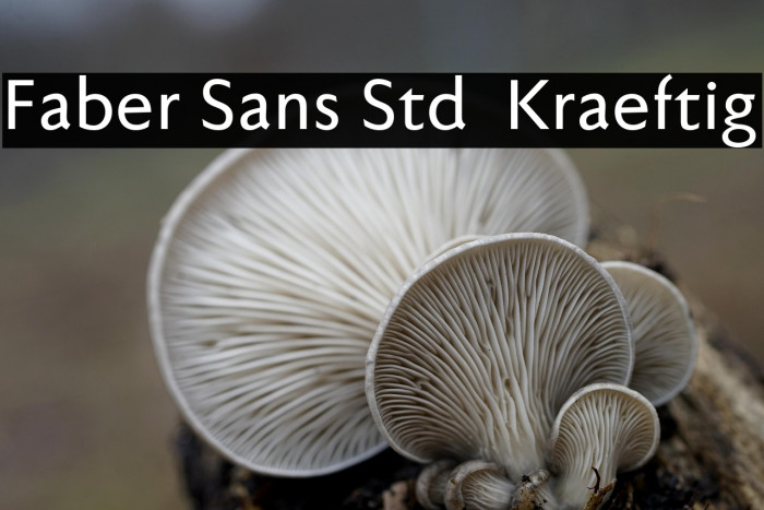 Faber Sans Std 65 Kraeftig Example 2