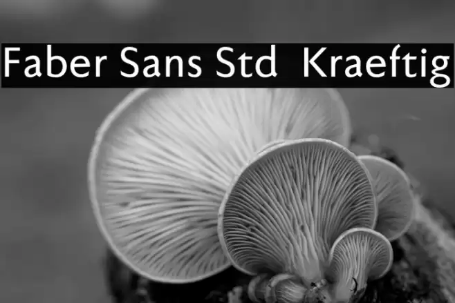Faber Sans Std 65 Kraeftig フォント examples