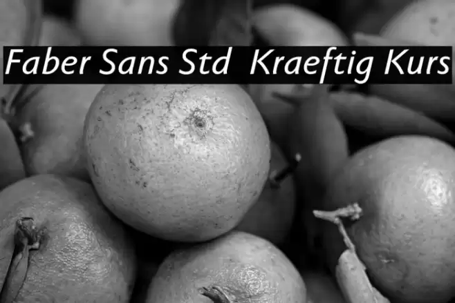 Faber Sans Std 66 Kraeftig Kurs フォント examples