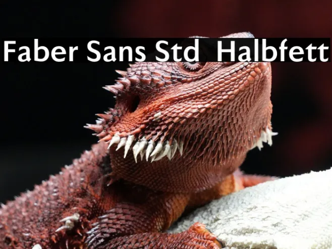 Faber Sans Std 75 Halbfett Example 3