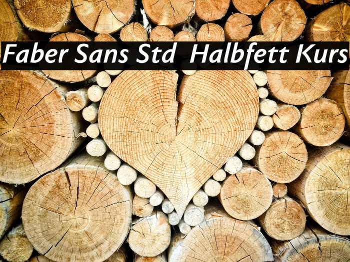 Faber Sans Std 76 Halbfett Kurs Example 1
