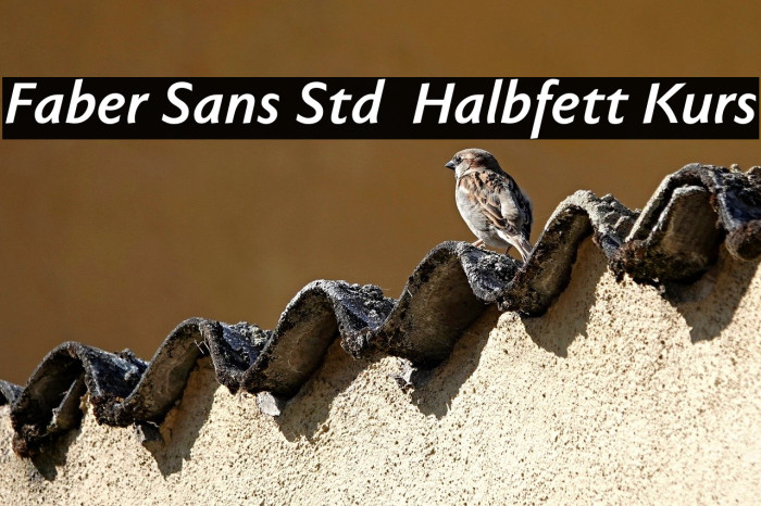 Faber Sans Std 76 Halbfett Kurs Example 3