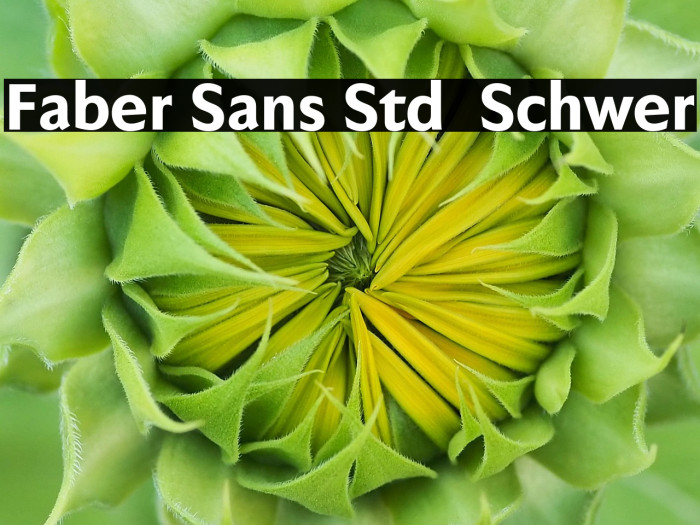 Faber Sans Std 85 Schwer Example 2