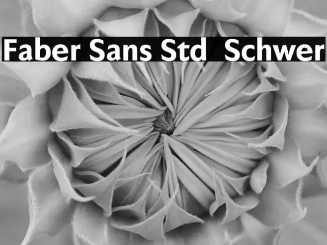 Faber Sans Std 85 Schwer Font examples