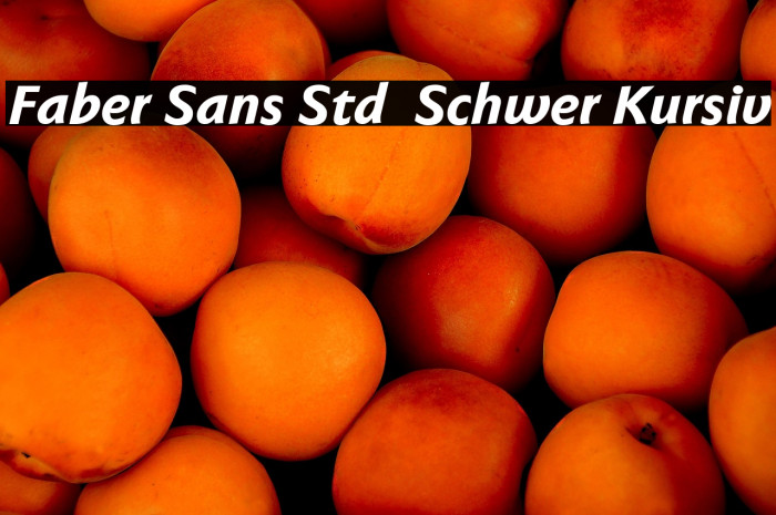 Faber Sans Std 86 Schwer Kursiv Example 2
