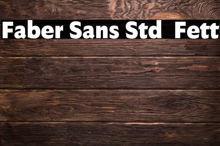 Faber Sans Std 95 Fett Example 1