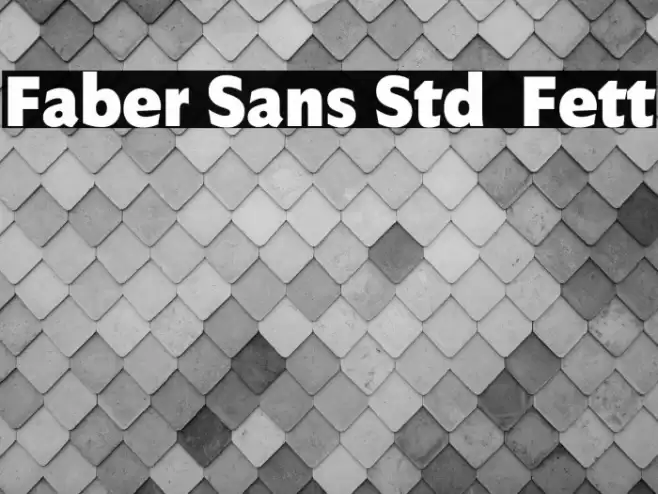 Faber Sans Std 95 Fett Font examples