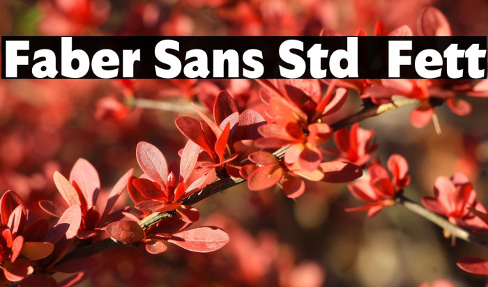 Faber Sans Std 95 Fett Example 3