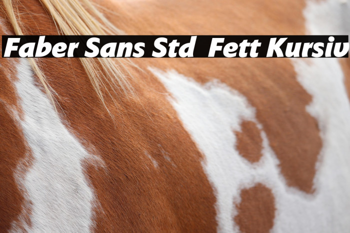 Faber Sans Std 96 Fett Kursiv Example 1