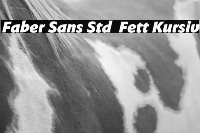Faber Sans Std 96 Fett Kursiv Font examples