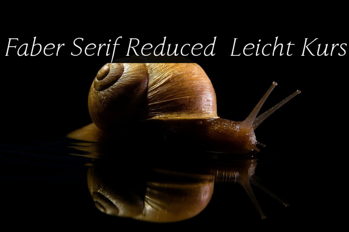 Faber Serif Reduced 46 Leicht Kurs Example 1