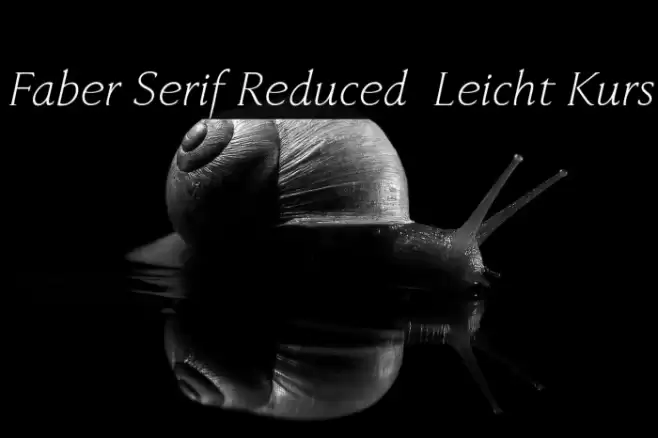 Faber Serif Reduced 46 Leicht Kurs Font examples