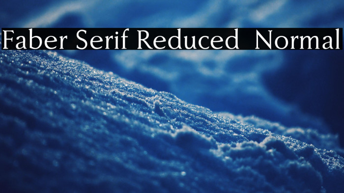 Faber Serif Reduced 55 Normal Example 1