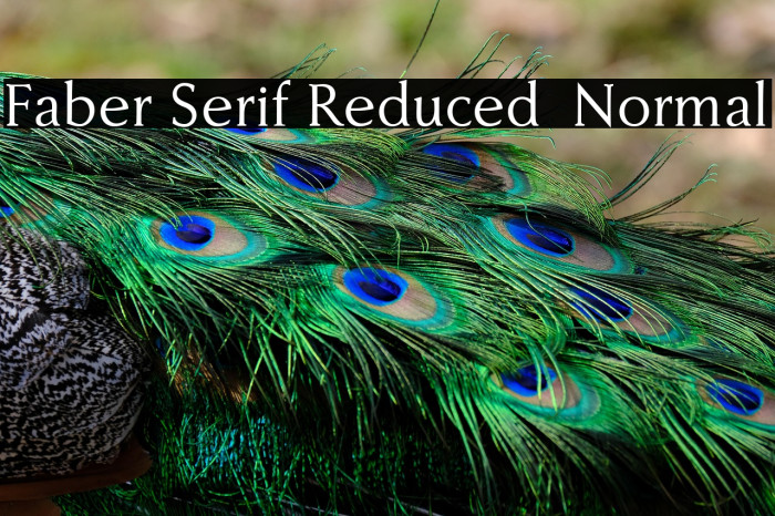 Faber Serif Reduced 55 Normal Example 2
