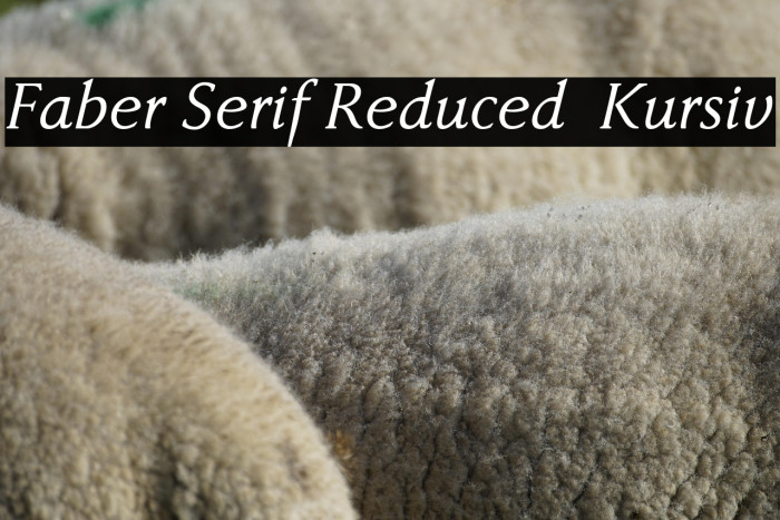 Faber Serif Reduced 56 Kursiv Example 1