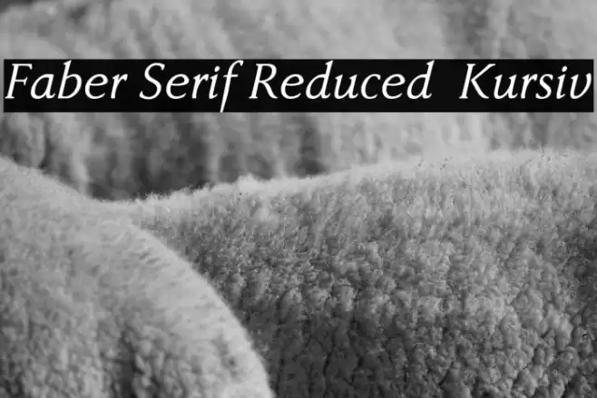Faber Serif Reduced 56 Kursiv Font examples