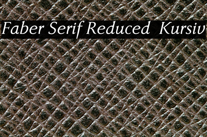 Faber Serif Reduced 56 Kursiv Example 3