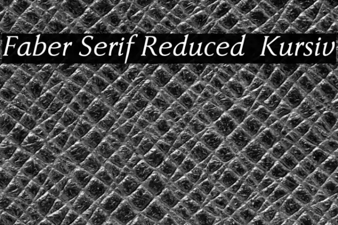 Faber Serif Reduced 56 Kursiv Font examples