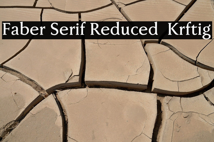 Faber Serif Reduced 65 Kräftig Example 1